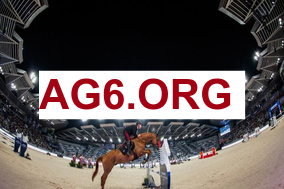 意甲第25轮帕尔马vs维罗纳全场比赛录像回放2026年2月16日